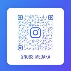 【No.63 MEDAKA】現物出品　白ブチラメ幹之サファイア系　10匹セット　静楽庵様血統　極上種親個体【まとめて購入大歓迎‼︎】の画像