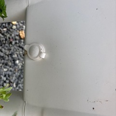 立ったまま植えれる?プランターの画像