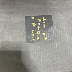 お皿？の画像