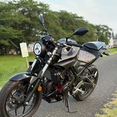 ヤマハ MT25 250cc カスタムの画像