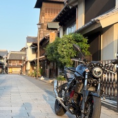 ヤマハ MT25 250cc カスタムの画像