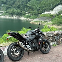 ヤマハ MT25 250cc カスタムの画像