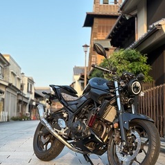 ヤマハ MT25 250cc カスタムの画像