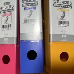 リヒトラブ　D型A4ファイルリング　セットの画像