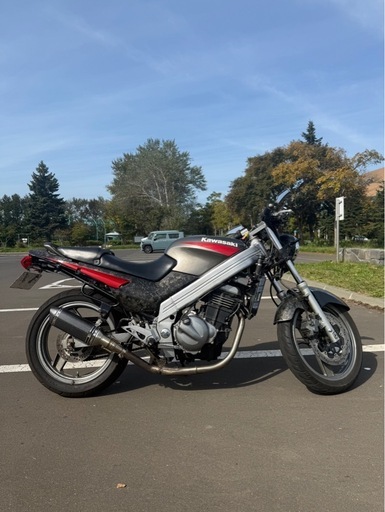 KAWASAKI カワサキ　ZZR250 自賠責有り　実動車