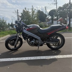 KAWASAKI カワサキ　ZZR250 自賠責有り　実動車の画像