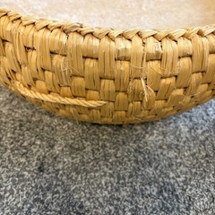 猫　ベッドの画像