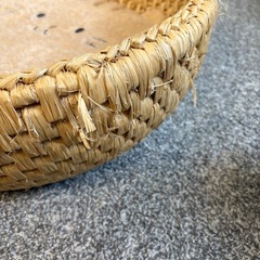 猫　ベッドの画像