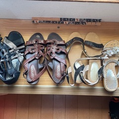 24.5スニーカー、パンプス、サンダルの画像