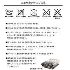 ラグの画像