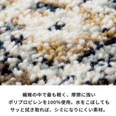 ラグの画像