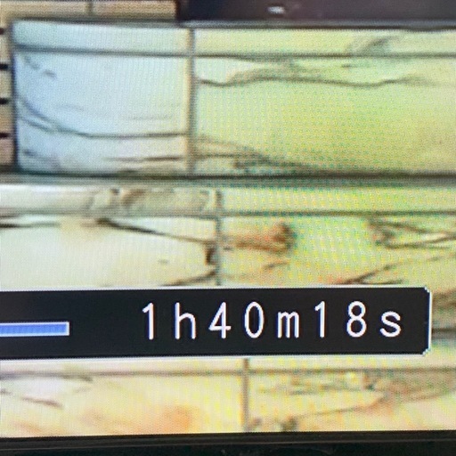 大空舞　となりの妹　dvd 初回版　※説明欄にお得情報あり！