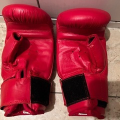 ボクシング　練習道具一式　グローブ　ミットの画像