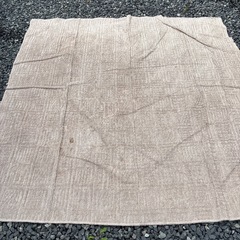シミだらけカーペットの画像