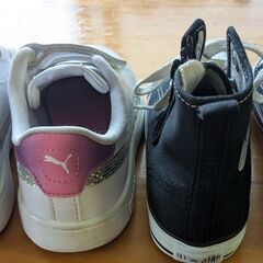 PUMA　Converseスニーカー2足セット19cmの画像