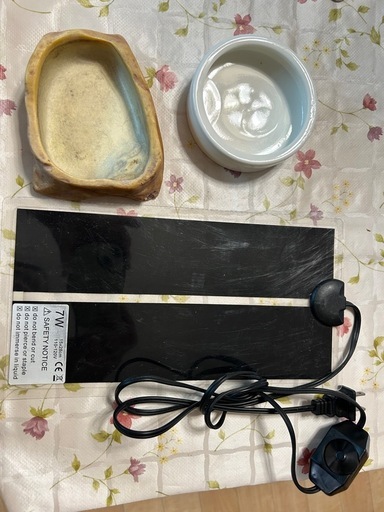 爬虫類飼育セット一式、フトアゴヒゲトカゲなど