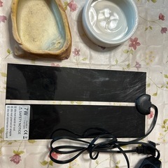 爬虫類(フトアゴヒゲトカゲなど)飼育セット一式の画像