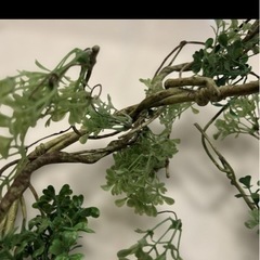 イナザウルス、人工植物の画像
