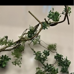 イナザウルス、人工植物の画像