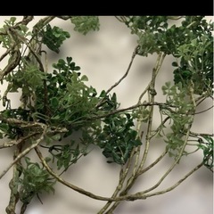 イナザウルス、人工植物の画像