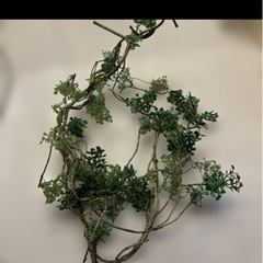 イナザウルス、人工植物の画像
