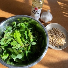 ◉長命草（ボタンボウフウ） 種　300粒の画像