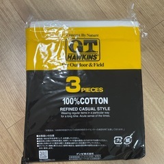 新品未使用 グンゼ GUNZE G.T HAWKINS Tシャツ Lサイズ 3枚の画像