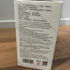 大人気ラブブ　labubu BIG INTO ENERGY エナジーの画像