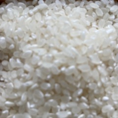 令和7年産　コシヒカリ(購入者限定)の画像