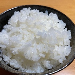令和7年産　コシヒカリ(購入者限定)の画像
