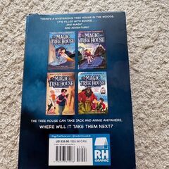 📚【英語絵本セット】Magic Tree House Graphic Novel 全4冊✨の画像