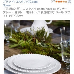 正規輸入品 コスタノバ costa nova プレート28㎝の画像
