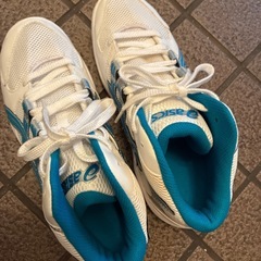 アシックス24.5の画像