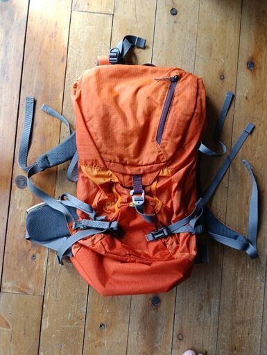 パタゴニア　patagonia　35L
