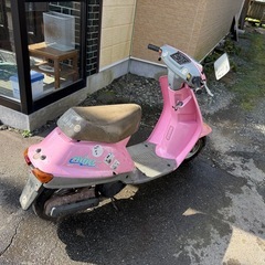 ヤマハ　ミント の画像