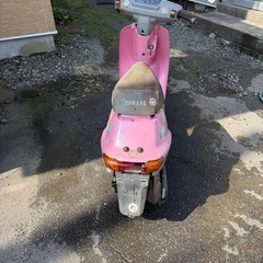 ヤマハ　ミント の画像