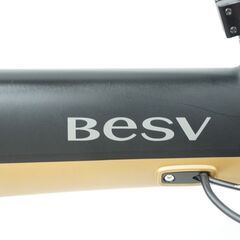 BESV 「ベスビー」 PSA1 2019年モデル 電動アシスト自転車の画像