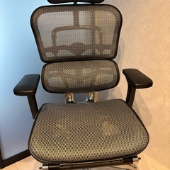 エルゴヒューマン　プロ　オットマン付きの画像