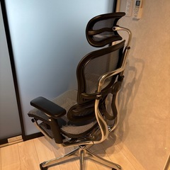 エルゴヒューマン　プロ　オットマン付きの画像