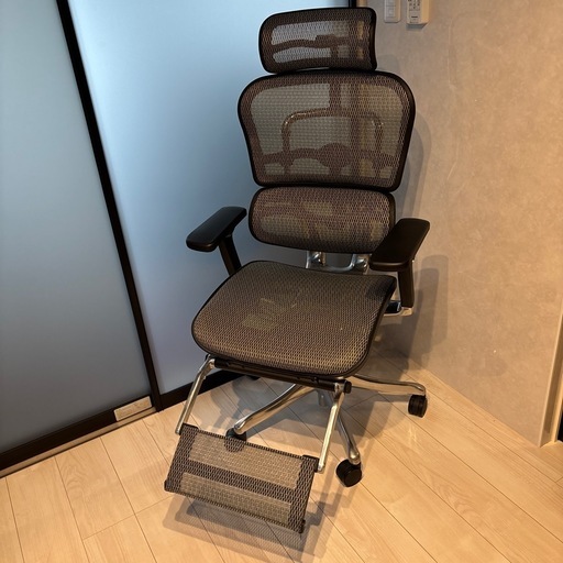 エルゴヒューマン　プロ　オットマン付き