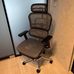 エルゴヒューマン　プロ　オットマン付きの画像