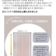 Sugiyama 電気毛布の画像