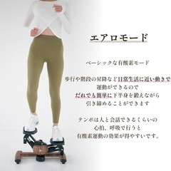 ツイストステッパーの画像