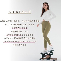 ツイストステッパーの画像