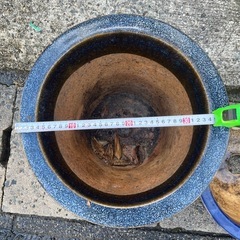 【ばら売りOK】植木鉢の画像