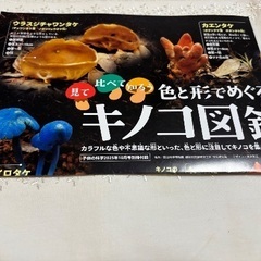 子供の科学　2025年7月号の画像