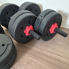 ダンベル　可変式の画像