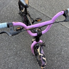 キッズBMX TNB のPLUG 14インチの画像
