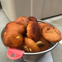 落葉きのこ　200g超①の画像