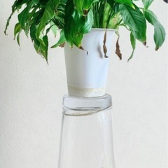 【難あり】高さ50cm 水を入れない花瓶・ガラスベース・フラワーベースの画像